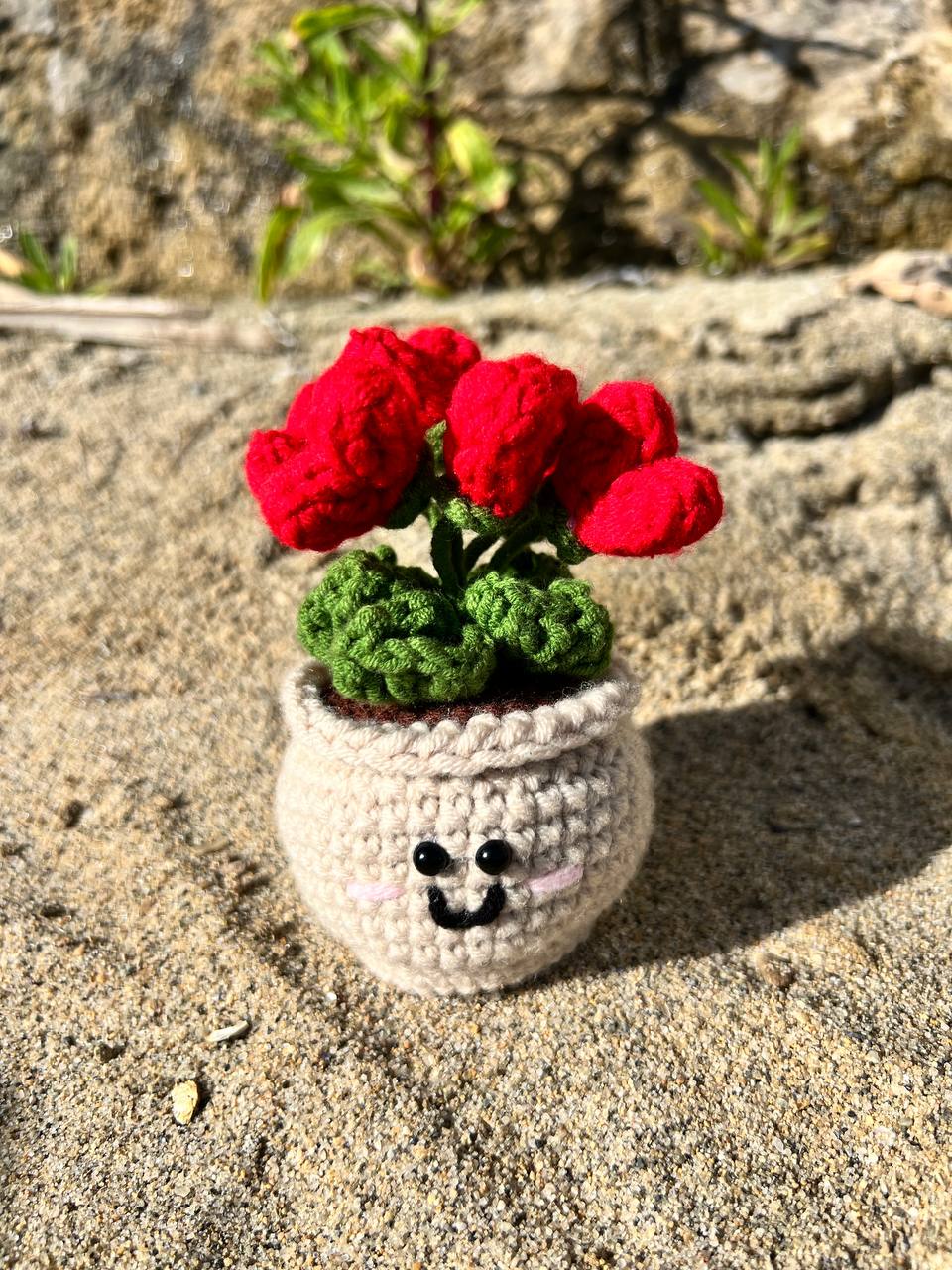 Small Heart Flower Pot