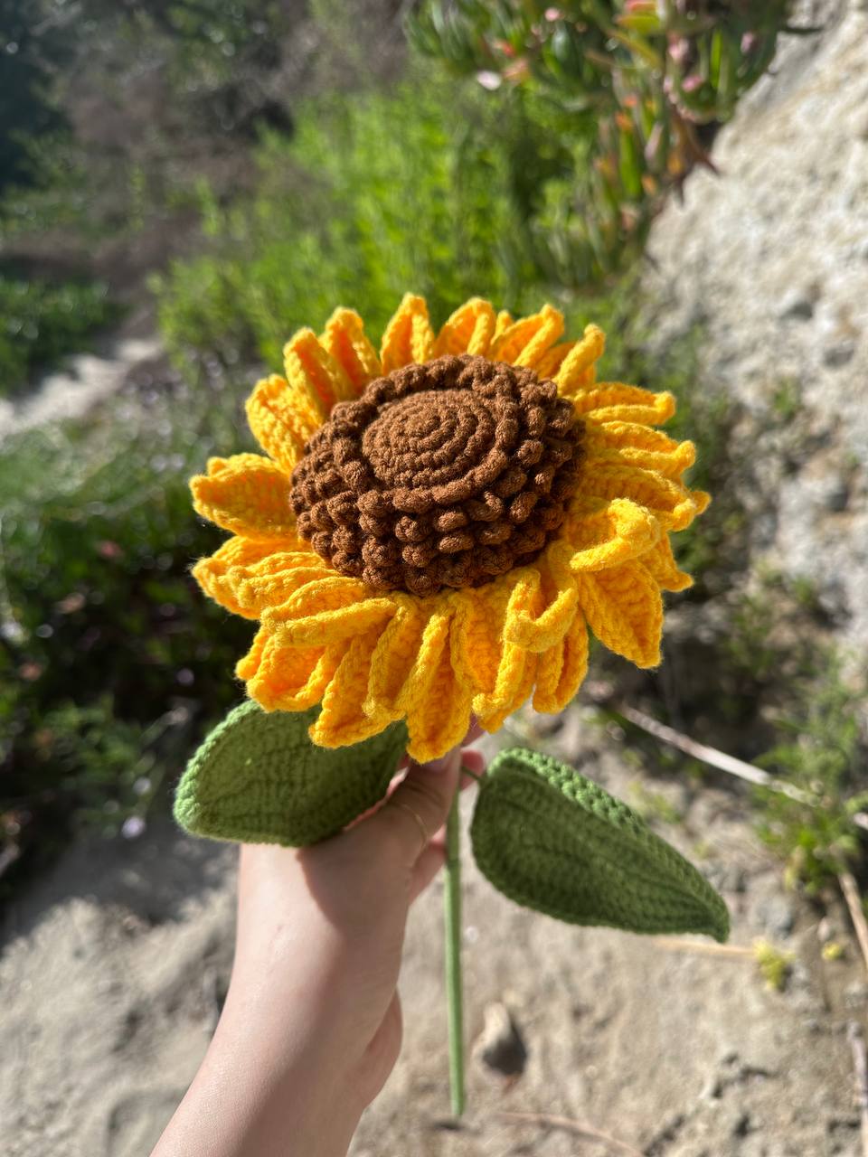 Large Sunflower